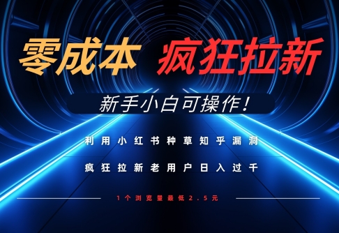 利用小红书种草知乎漏洞，零成本疯狂拉新日入数张，新手小白可操作-3YVIP资源库