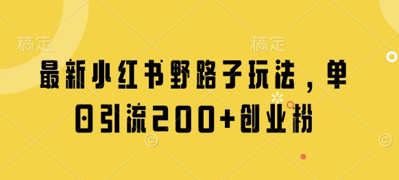 最新小红书野路子玩法，单日引流200+创业粉-3YVIP资源库