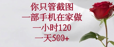 你只管截图，一部手机在家做，苹果安卓都可以，一小时120，一天5张+【揭秘】-3YVIP资源库