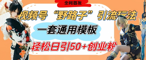 视频号“野路子”玩法，评论区疯狂截流，一套模板单日单号引流50+创业粉-3YVIP资源库