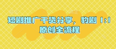 短剧推广干货分享，豹剧 1:1原创全流程-3YVIP资源库