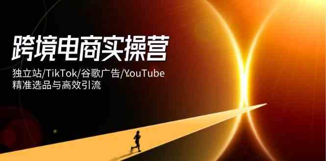 跨境电商实操营：独立站/TikTok/谷歌广告/YouTube，精准选品与高效引流-3YVIP资源库
