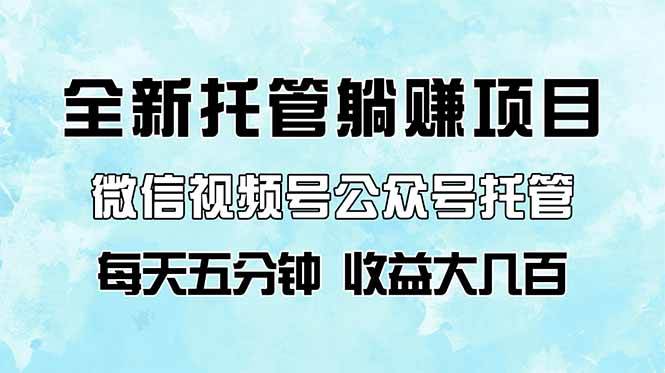 （14425期）全新托管躺赚项目，微信视频号公众号托管代运营，每天五分钟，收益大几百-3YVIP资源库