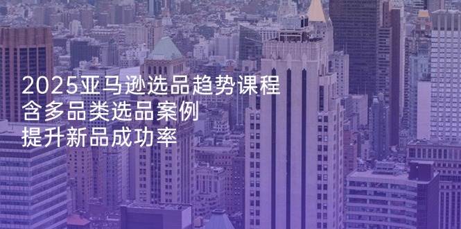 （14434期）2025亚马逊选品趋势课程，含多品类选品案例，提升新品成功率-3YVIP资源库