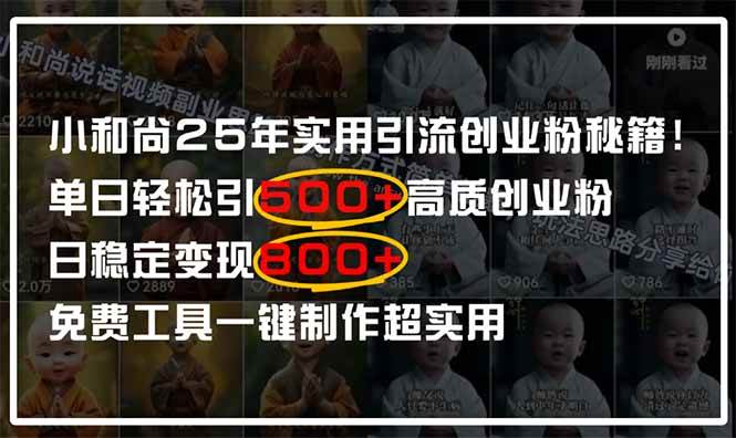 （14436期）小和尚2025年实用引流秘籍！单日轻松引500+高质量创业粉，日变现800+，…-3YVIP资源库