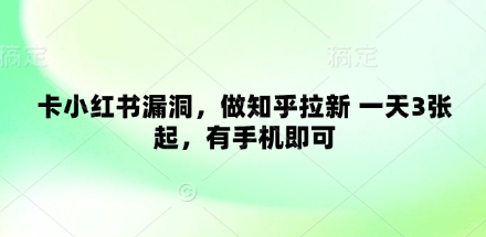 卡小红书漏洞，做知乎拉新 一天3张起，有手机即可-3YVIP资源库