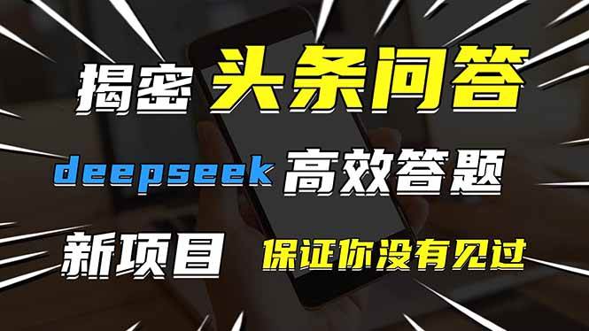 （14480期）头条问答，刚出的新玩法！保证你没见过！用DeepSeek去高效答题，一个账…-3YVIP资源库