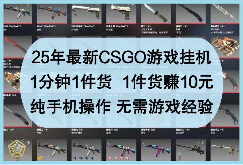 25年最新CSGO游戏挂机，1分钟1件货，1件货赚10元，纯手机操作，无需游戏经验-3YVIP资源库