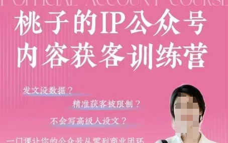 桃子IP公众号内容获客训练营(第3期)，一门让你公众号从0到商业闭环的课程-3YVIP资源库