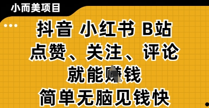 小而美的项目，抖音小红书B站视频点赞、关注、评论就能挣钱，简单无脑立见收益，妥妥的零撸项目【揭秘】-3YVIP资源库