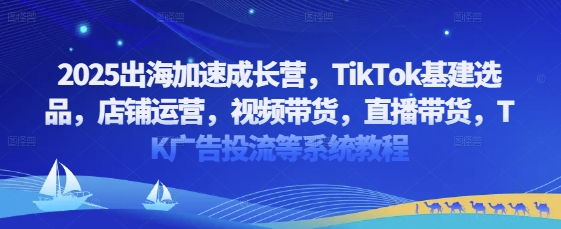 2025出海加速成长营，TikTok基建选品，店铺运营，视频带货，直播带货，TK广告投流等系统教程-3YVIP资源库