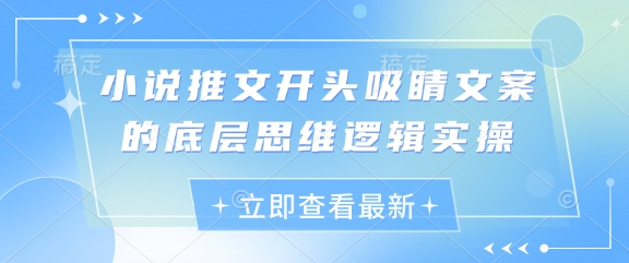 小说推文开头吸睛文案的底层思维逻辑实操-3YVIP资源库