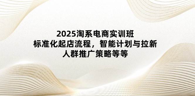 （14522期）2025淘系电商实训班：标准化起店流程，智能计划与拉新，人群推广策略等等-3YVIP资源库
