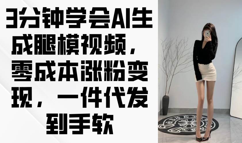 （14537期）3分钟学会AI生成腿模视频，零成本涨粉变现，一件代发到手软-3YVIP资源库