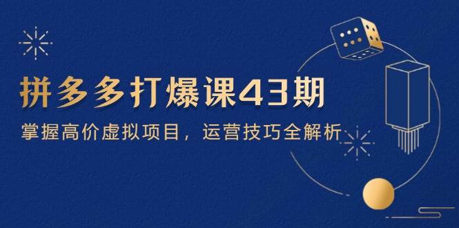 （14546期）拼多多打爆课第 43 期，掌握高价虚拟项目，运营技巧全解析（15节）-3YVIP资源库