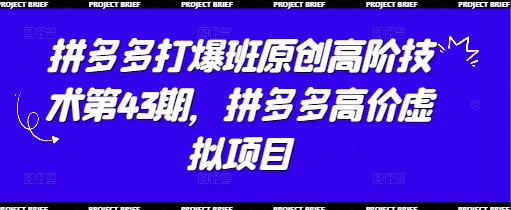拼多多打爆班原创高阶技术第43期，拼多多高价虚拟项目-3YVIP资源库
