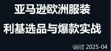 跨境电商选品案例24-25年，聚焦跨境电商选品策略与运营优化，助力卖家挖掘蓝海市场-3YVIP资源库