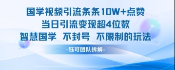 国学视频引流条条10W+点赞当日引流变现超4位数-3YVIP资源库