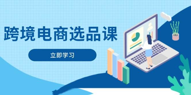 （14547期）跨境电商选品课：涵盖电动滑板车、健康医疗、电子游戏、厨房用品、宠物等-3YVIP资源库