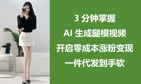 3分钟掌握AI生成腿模视频，开启零成本涨粉变现，一件代发到手软-3YVIP资源库