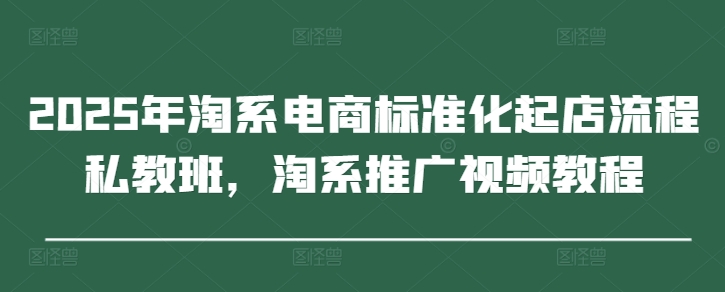 2025年淘系电商标准化起店流程私教班，淘系推广视频教程-3YVIP资源库