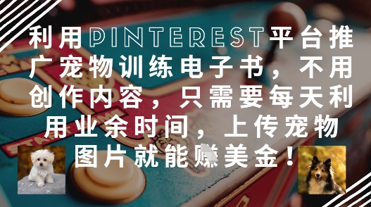 利用Pinterest平台推广宠物训练电子书，不用创作内容，只需要每天利用业余时间，上传宠物图片就能挣美金!-3YVIP资源库