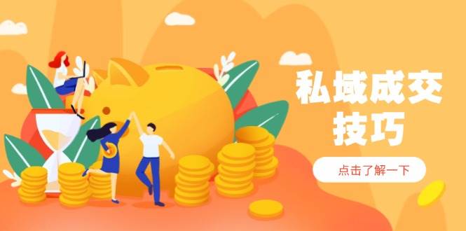 私域成交技巧，帮你从入门到精通，破解四大痛点，快速变现，轻松收钱-3YVIP资源库