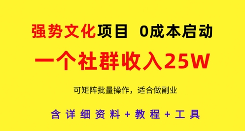 强势文化项目，一个社群收入25个W，0成本启动，可矩阵批量操作，原创详细实操教程-3YVIP资源库