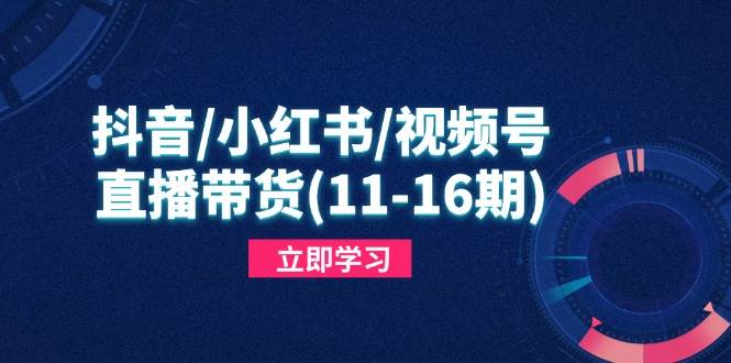 （14611期）抖音/小红书/视频号/直播带货(11-16期)，快速掌握平台规则，打造爆款内容-3YVIP资源库