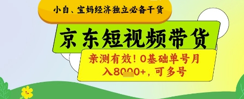 小白宝妈经济独立必备干货，京东短视频带货，亲测有效!0基础单号月入8k+，可多号【揭秘】-3YVIP资源库