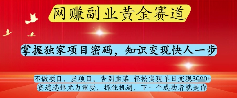 网创副业黄全赛道，掌握独家项目密码，知识变现快人一步，告别韭菜轻松实现单日变现1k+【揭秘】-3YVIP资源库