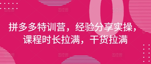 拼多多特训营，经验分享实操，课程时长拉满，干货拉满(更新25年4月)-3YVIP资源库