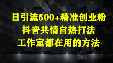 日引流500+精准创业粉，抖音共情自热打法，工作室都在用的方法-3YVIP资源库