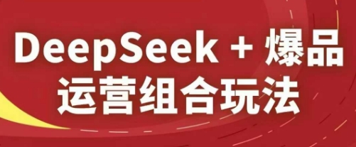 DeepSeek+爆品运营组合玩法，2025淘系精品课-3YVIP资源库