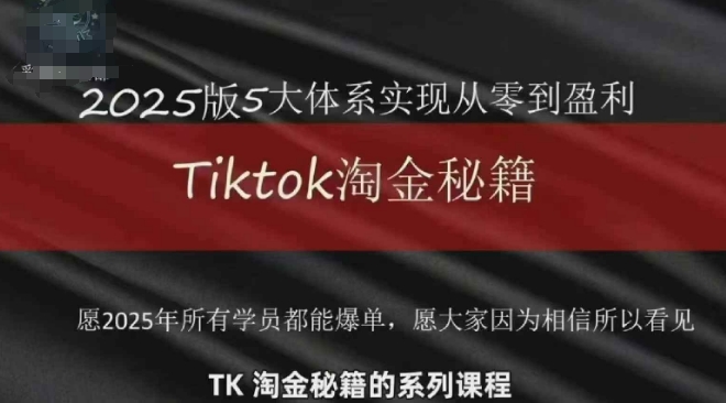 TikTok跨境2025淘金秘籍，​2025TikTok从0到盈利变现-3YVIP资源库