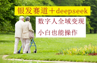 银发赛道+deepseek数字人全域变现，小白也能操作-3YVIP资源库