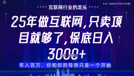 什么！25年你还在找项目做？风口早就变了，卖项目才是稳挣不赔【揭秘】-3YVIP资源库
