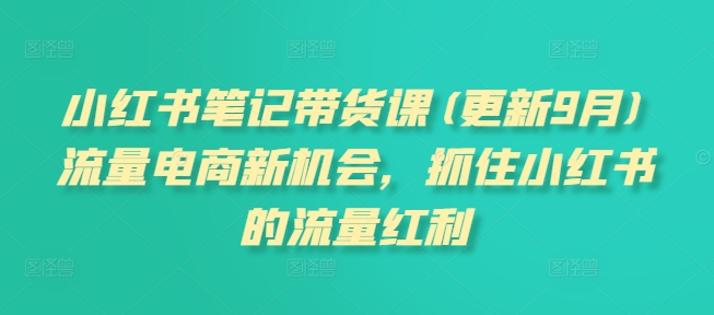 小红书笔记带货课(更新25年4月)流量电商新机会，抓住小红书的流量红利-3YVIP资源库