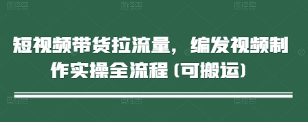 短视频带货拉流量，编发视频制作实操全流程(可搬运)-3YVIP资源库