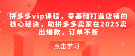 拼多多vip课程，零基础打造店铺的核心秘诀，助拼多多卖家在2025卖出爆款，订单不断-3YVIP资源库