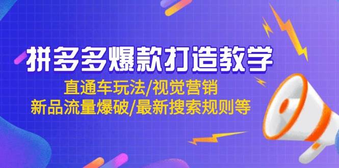 （14681期）拼多多爆款打造教学：直通车玩法/视觉营销/新品流量爆破/最新搜索规则等-3YVIP资源库
