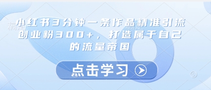 小红书3分钟一条作品精准引流创业粉300+，打造属于自己的流量帝国-3YVIP资源库