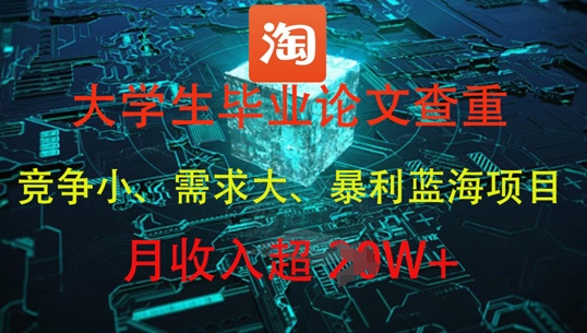 大学生毕业论文查重，暴利蓝海项目，月收入过1W+-3YVIP资源库