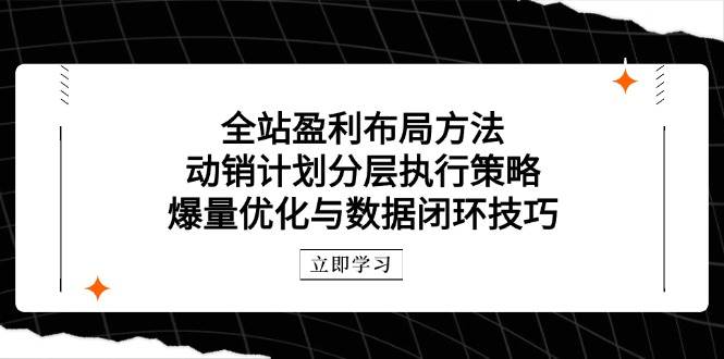 （14698期）全站盈利布局方法：动销计划分层执行策略，爆量优化与数据闭环技巧-3YVIP资源库