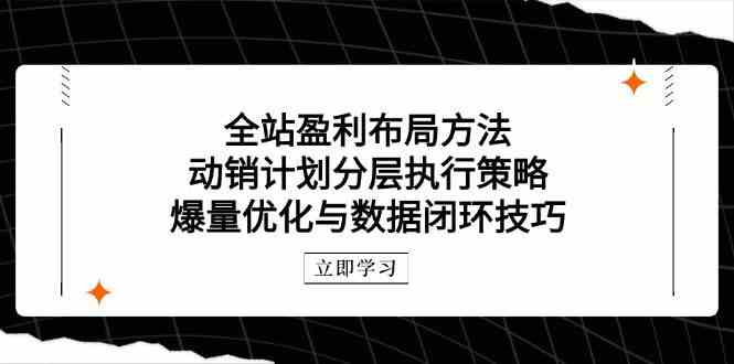 全站盈利布局方法：动销计划分层执行策略，爆量优化与数据闭环技巧-3YVIP资源库