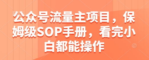 公众号流量主项目，保姆级SOP手册，看完小白都能操作-3YVIP资源库