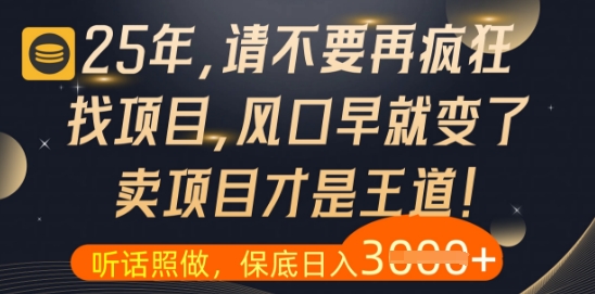 什么？25年你还在疯狂找项目做，醒醒吧，看完这些你全都懂了【揭秘】-3YVIP资源库