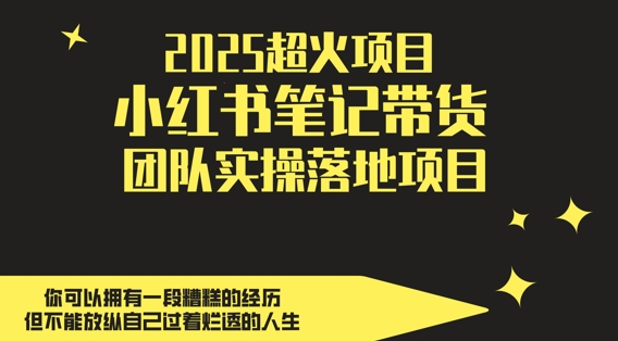 2025超火项目，副业最佳选择，小红书笔记带货团队实操落地项目，，轻松日入5张-3YVIP资源库