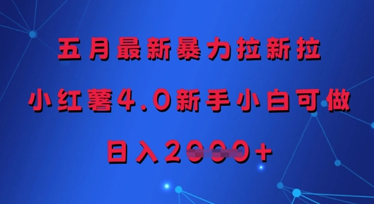 五月最新暴力拉新拉，小红薯4.0新手小白可做，日入多张-3YVIP资源库