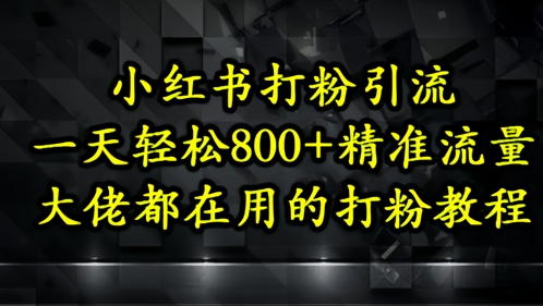 小红书打粉引流，一天轻松500+精准流量，大佬都在用的打粉教程-3YVIP资源库